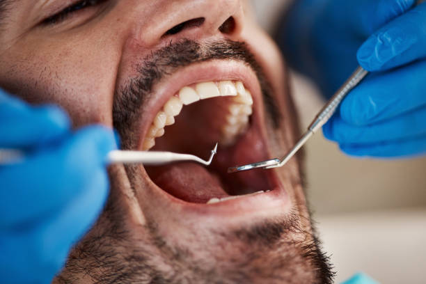 Best Emergency Dental Care for Trauma or Injury in Thatcher, UT